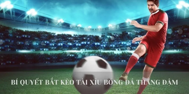 Tổng Hợp 5+ Loại Kèo Tài Xỉu Bóng Đá Phổ Biến Nhất Tại W365 4 Bí quyết bắt kèo tài xỉu bóng đá thắng đậm