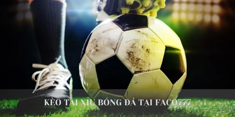 Tổng Hợp 5+ Loại Kèo Tài Xỉu Bóng Đá Phổ Biến Nhất Tại W365 2 Kèo tài xỉu bóng đá tại W365