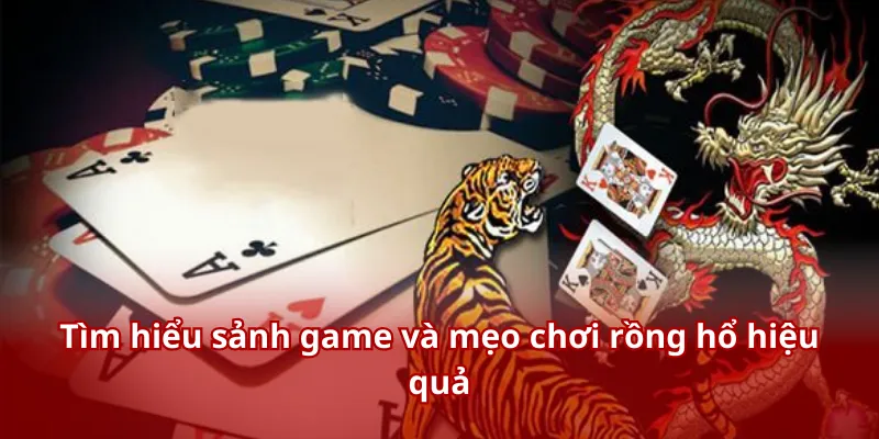 Tìm hiểu sảnh game và mẹo chơi rồng hổ hiệu quả