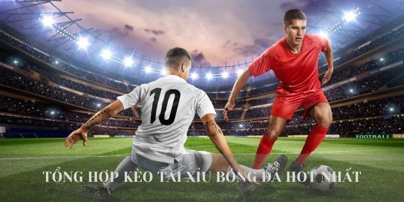 Tổng Hợp 5+ Loại Kèo Tài Xỉu Bóng Đá Phổ Biến Nhất Tại W365 3 Tổng hợp kèo tài xỉu bóng đá phổ biến nhất hiện nay