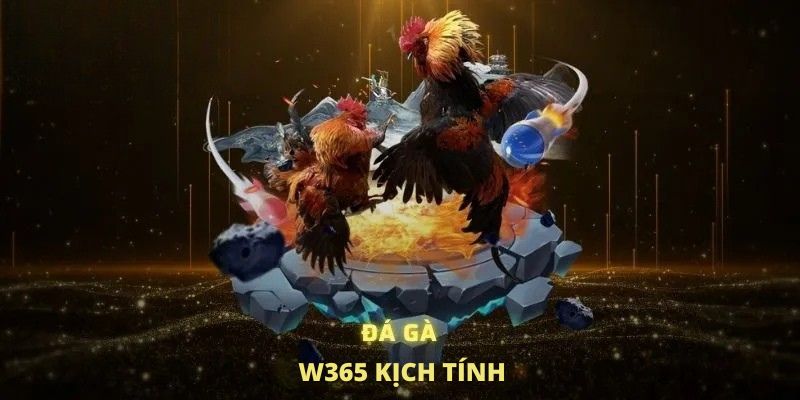 W365 37 Đá gà W365 kịch tính