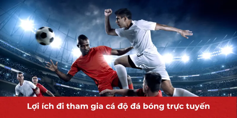 Đá Bóng Trực Tuyến - Hình Thức Được Hội Viên Ưa Chuộng Hàng Đầu 2 Lợi ích đi tham gia cá độ đá bóng trực tuyến