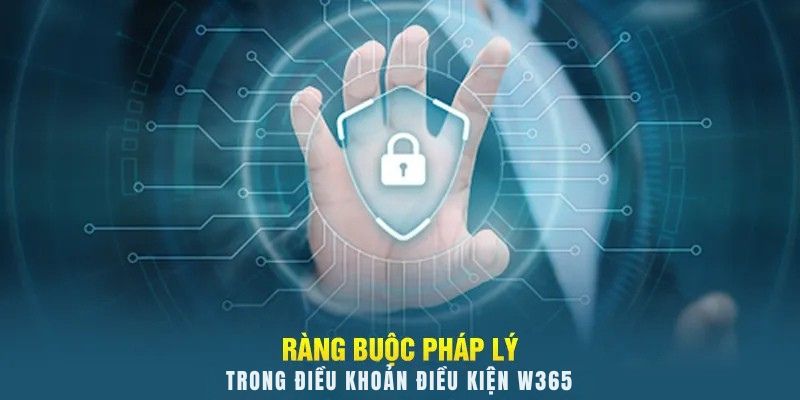 Điều Khoản Điều Kiện W365 3 Ràng buộc pháp lý trong điều khoản điều kiện W365